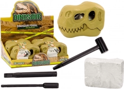 Archeologische opgravingen Dinosauriërs Fossielen Schedel