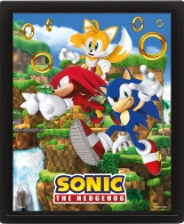 3D afbeelding SONIC – Catching Rings
