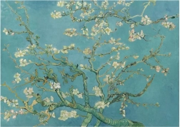 Puzzel Amandelbloesem XL 700 stukjes ANATOLIAN