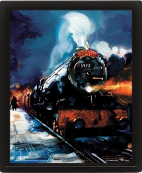 3D schilderij Harry Potter – Zweinsteinexpres