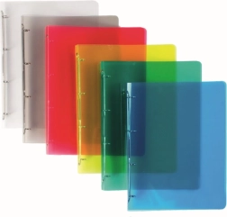 Polypropyleen ordner A4 met 2 ringen Lines, mix kleuren