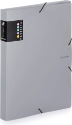 Archiefbox met elastiek A4 grijs PASTELINI