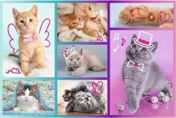 Puzzel 60 stukjes – schattige kittens TREFL