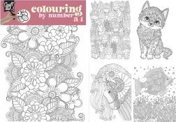 Schilderen op nummer A4 met duo-kleurpotloden