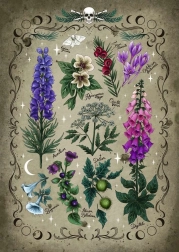 Puzzel Giftige Planten 1000 stukjes