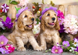 Puzzel cocker spaniël puppy's met bloemenhoedjes 1000 stukjes