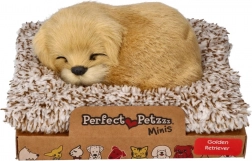 Blaffende golden retriever op een mandje