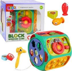 Interactieve educatieve kubus 8-in-1