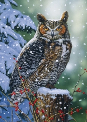 Puzzel Tichý pozorovatel 500 stukjes ALIPSON