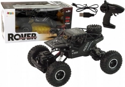 Terrein RC auto 4x4 1:16, zwart