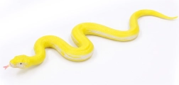 Zachte rubberen slang 60 cm