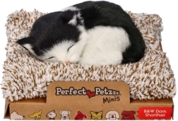 Perfect Petzzz zwart-witte kat op een mandje
