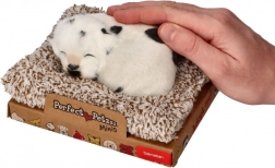 Blaffende dalmatiër op een mandje