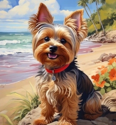 Diamond painting Yorkshire op het strand 30 × 40 cm