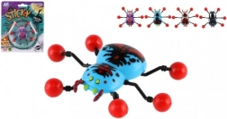 Spin Kruipend Op Glas