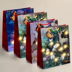 LED-cadeautas met warmwitte verlichting - 1 stuk