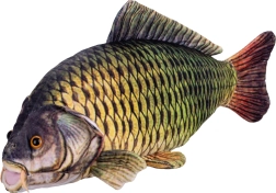 Pluchen karper 52 cm