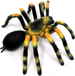 Figur van vogelspin Brachypelma smithi