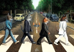 Puzzel Tabby Road 1000 stukjes