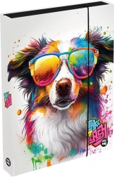 Jumbo A4 schriftenbox met hond