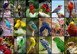 Puzzel De mooiste vogels ter wereld 1500 stukjes