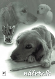 Schetsblok A3, 20 vellen