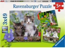 Ravensburger puzzel kittens 3×49 stukjes