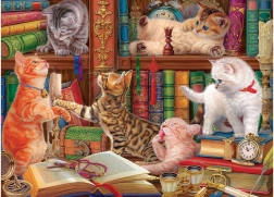 EUROGRAPHICS puzzel kattenbibliotheek 1000 stukjes