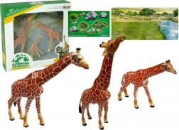 Educatieve giraffenfiguren Familie 3 stuks + Achtergrond Afrika