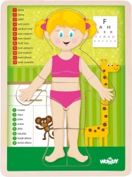 Woody houten dubbelzijdige puzzel menselijk lichaam - meisje