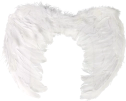 Engelenvleugels met veren