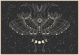 Puzzle Galaxy: Maanvlinder 500 stukjes