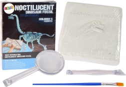 Archeologische set dinosaurus opgraving 3D skelet Brachiosaurus