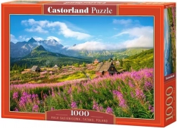 Puzzel 1000 stukjes Hala Gąsienicowa, Tatra’s, Polen