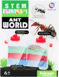 creatieve set – wereld van mieren