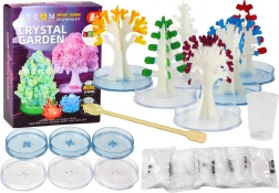 Educatieve creatieve set voor het kweken van kristalbomen