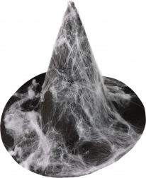 Heksenhoed met spinnenweb voor volwassenen