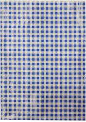 Tafelkleed voor beeldende vorming blauw-witte ruitjes 65 × 50 cm