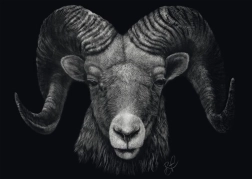 Puzzel Dominantie van de Ram: Belichaming van Vuur 1000 stukjes SCHMIDT