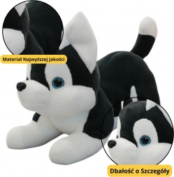 Pluche hondje Husky zwart-wit 30 cm
