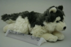 Pluchen huskyhond 35 cm