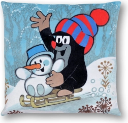 Kussen Mol 30x30cm, winter