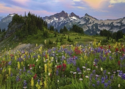 Puzzel 2000 stukjes - Tatoosh Mountains