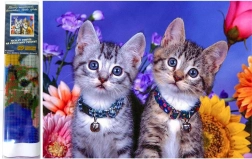 Diamantschilderen Twee Kittens 30x40 cm