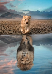 Puzzel 300 stukjes – Zelfreflectie