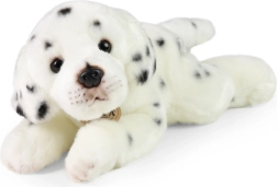 Pluchen dalmatiër 30 cm RAPPA eco friendly