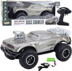 Grote RC terrein sportauto 1:8, zilver