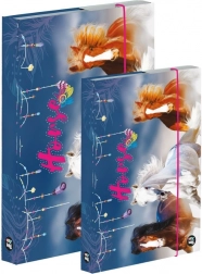 Set van dozen voor schriften A4 en A5 – paard