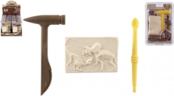 Dinosaur opgravingen - archeologie set voor kinderen