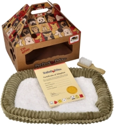 Perfect Petzzz ademende Berner Sennenhond ter adoptie